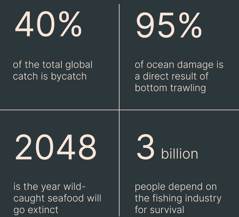 Critical issues with the industrial fish farming